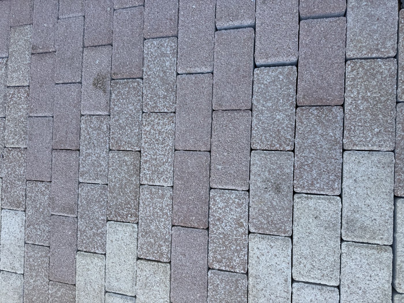 Installed rectangular pavers