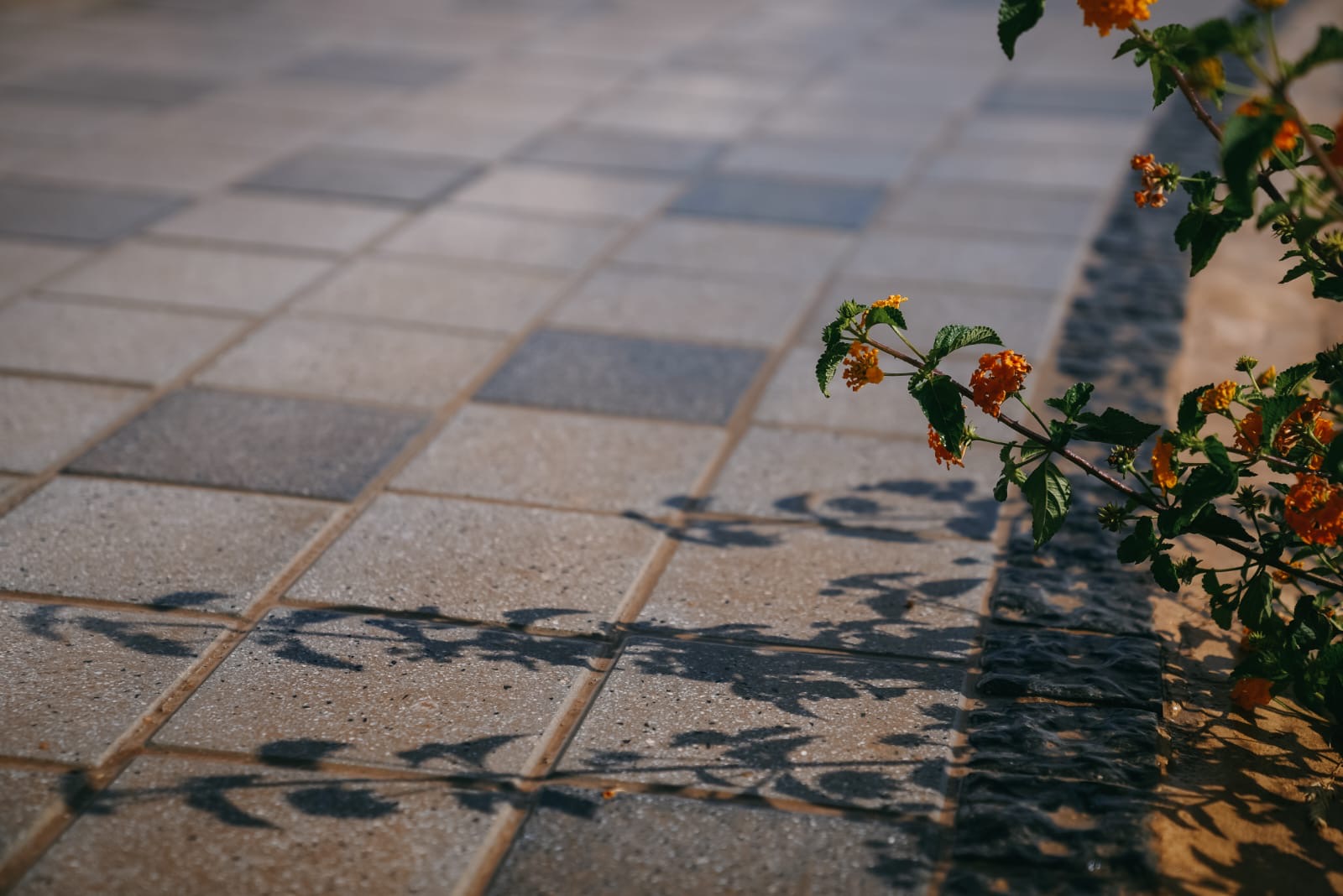مشروع ميدار التجاري